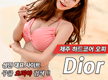 제주 - Dior 이미지