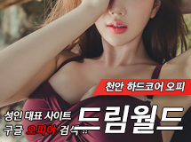 천안 - 드림월드 이미지